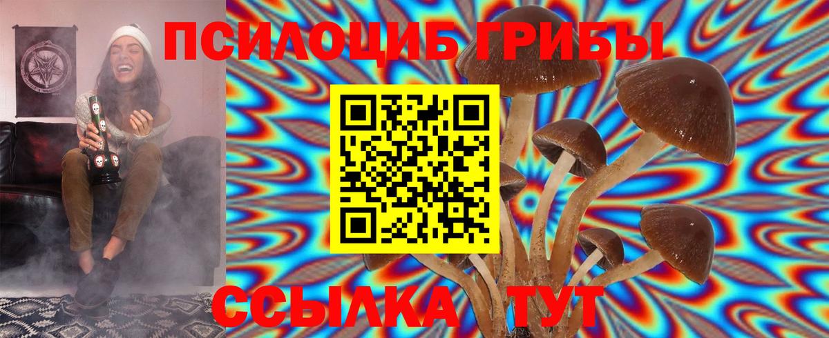 Галлюциногенные грибы мухоморы Северобайкальск