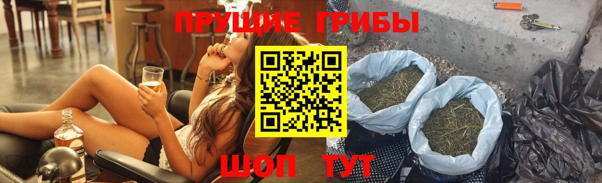 Северобайкальск  Галлюциногенные грибы Cubensis  Вход с VPN 